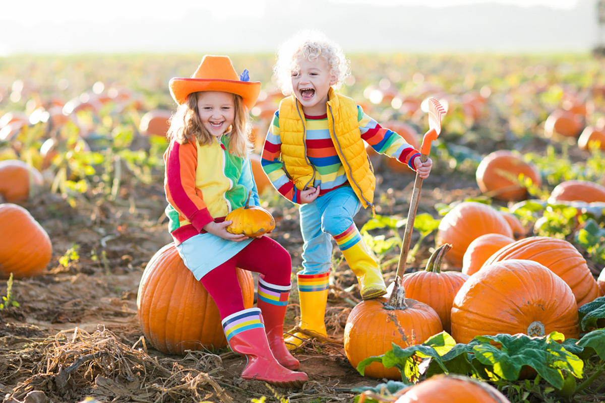 kids in pumpkin patch